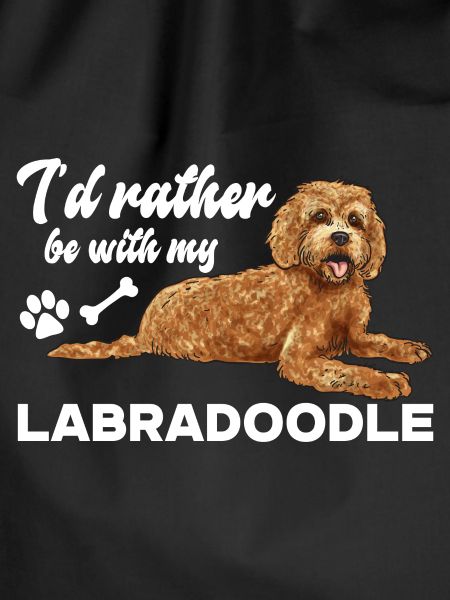 Labradoodle Dog