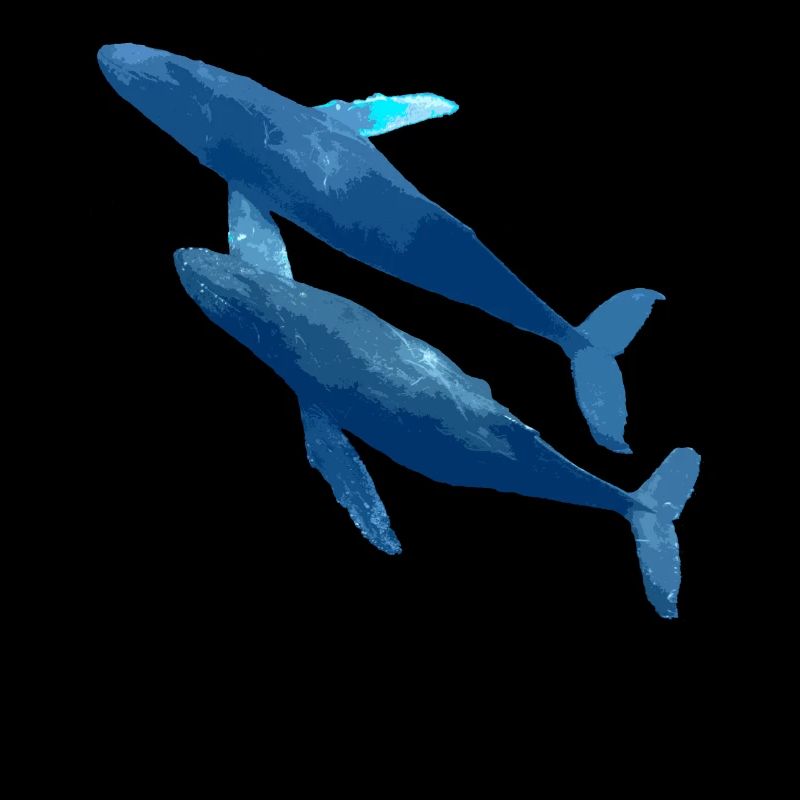 two whales