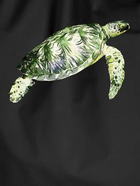 Sea turtle
