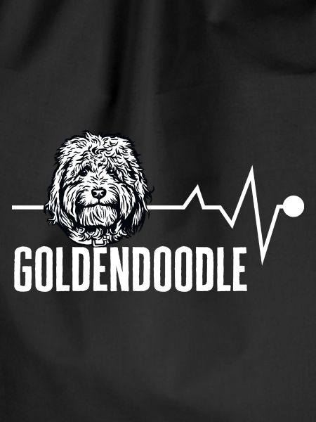 Goldendoodle Doodle Hund