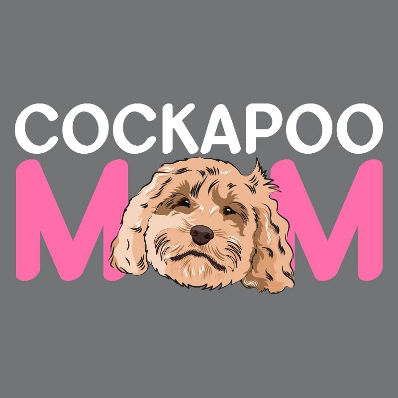 Cockapoo Hund