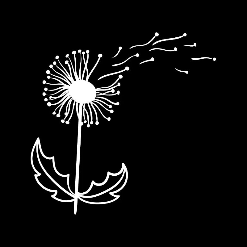 Beautiful dandelion dandelion Dandelion