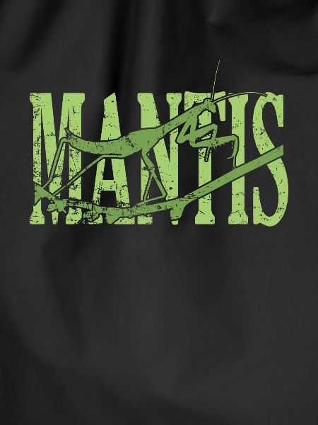 Mantis Insect