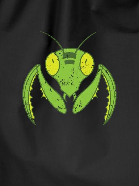 Praying mantis flying nature