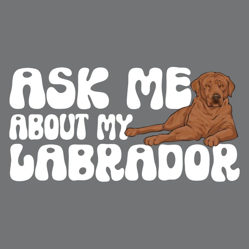 Foxred Labrador Fox Red Labrador Retriever