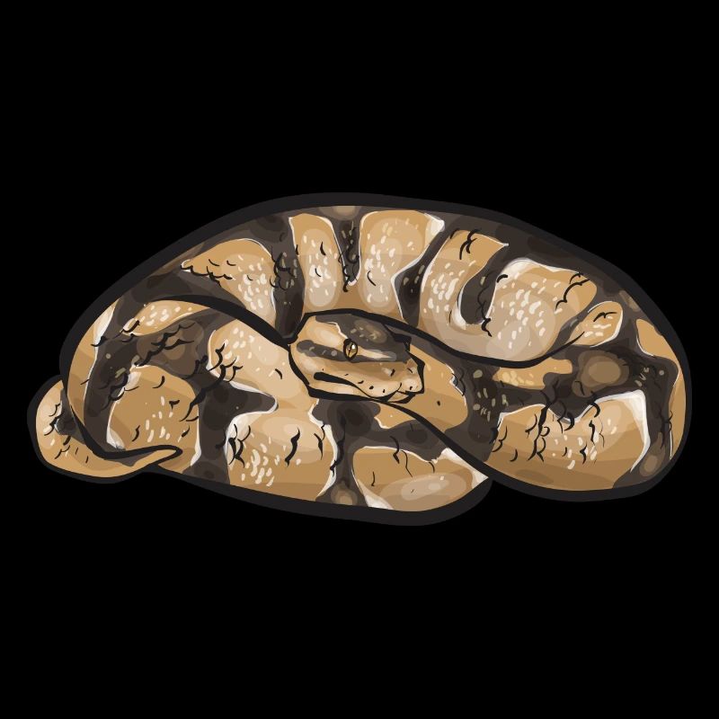 Ball Python Schlange Königspython