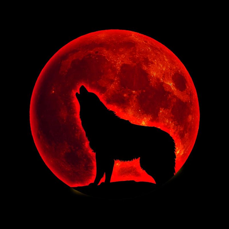 Wolf full moon