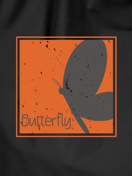 Butterfly butterfly