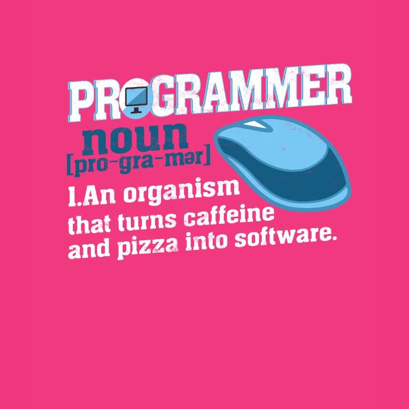 Programmer definition geek computer