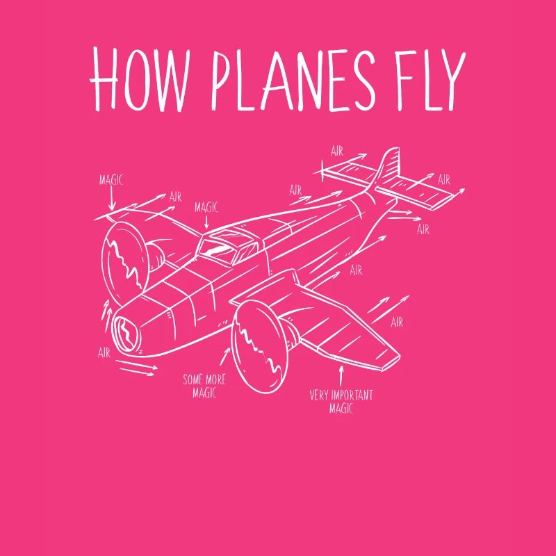 How planes fly
