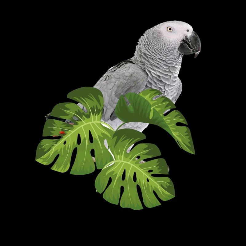 Grey Parrot Parrot