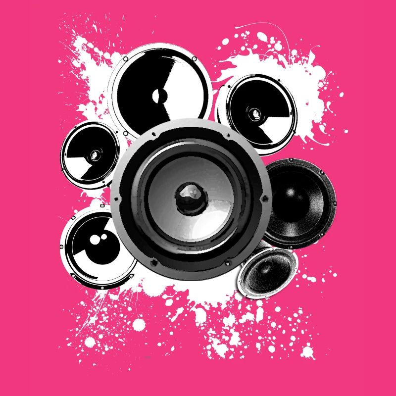 Speaker loudspeaker construction Hifi reference class techno