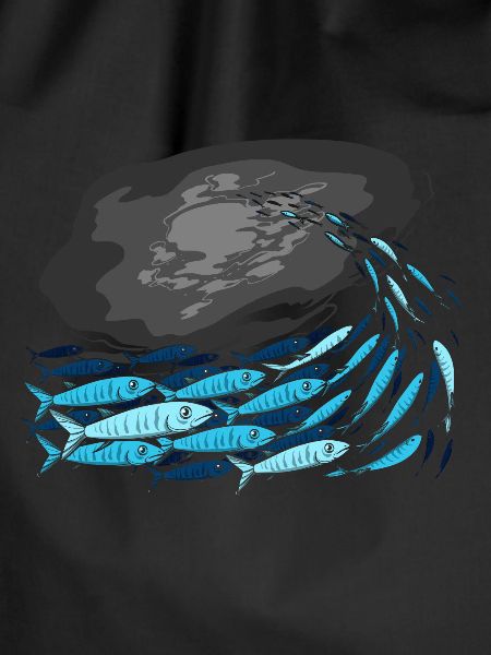 Fish Predatory fish