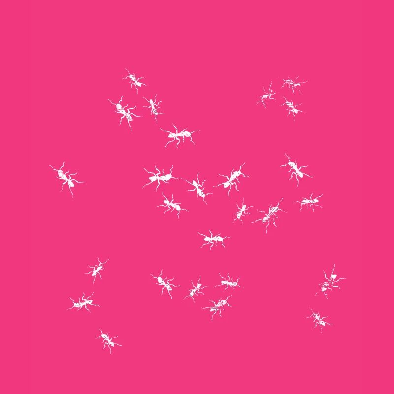 Ant group