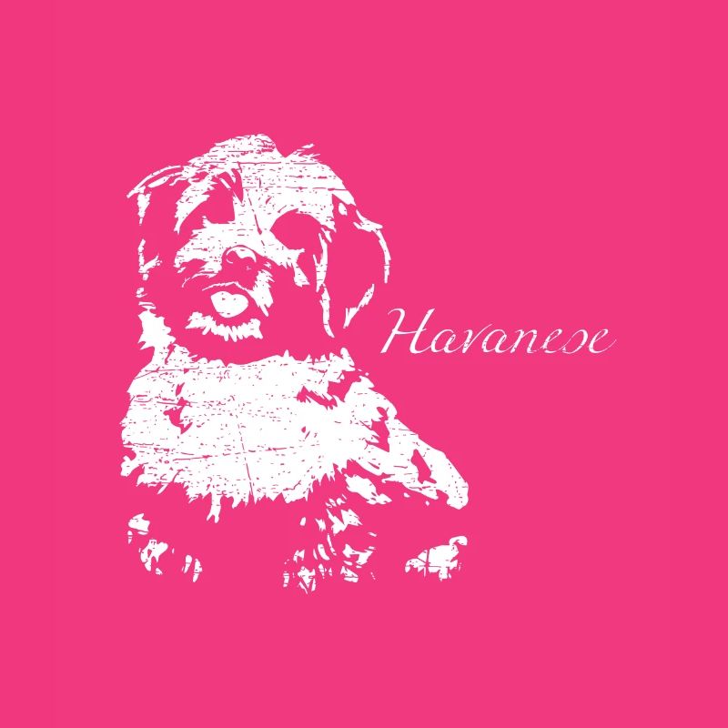 Havanese Havanese