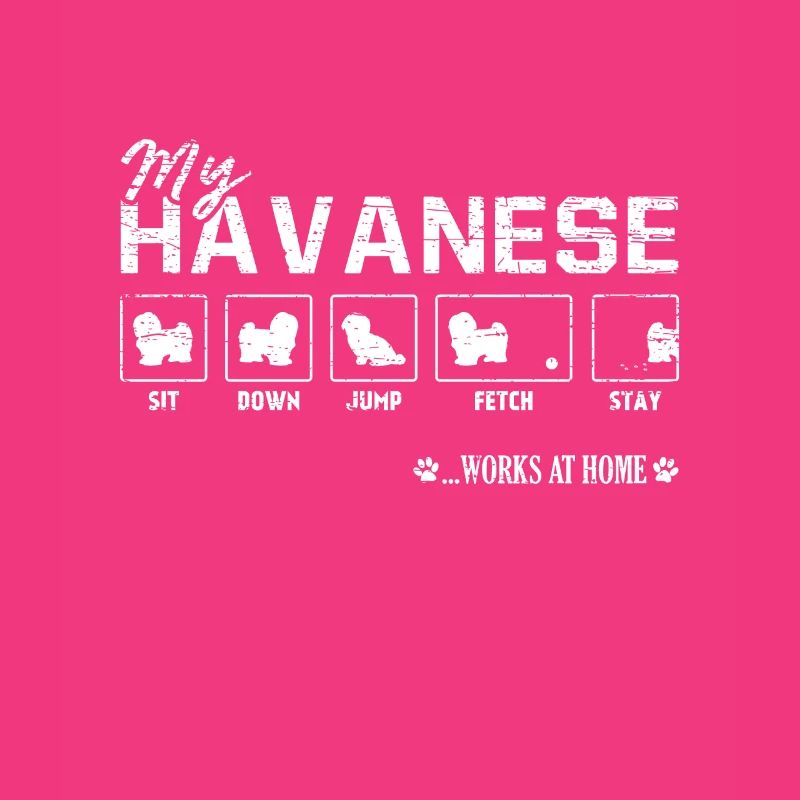 Havanese Havanese