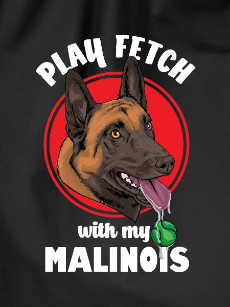 Belgian Malinois