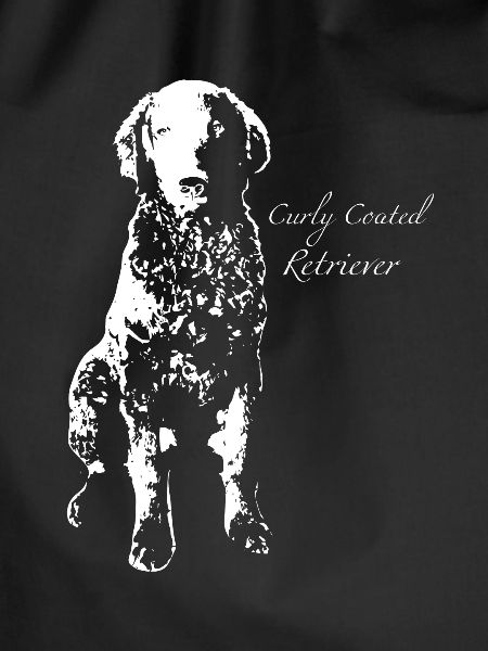 Curly Coated Retrievers