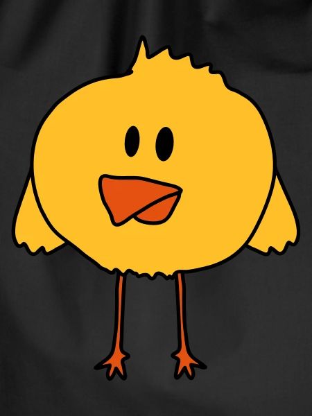 Cute Chick Bird