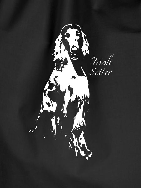 Irish Setter