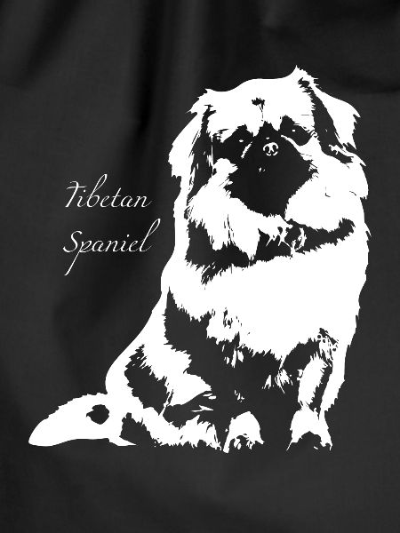 Tibetan Spaniel