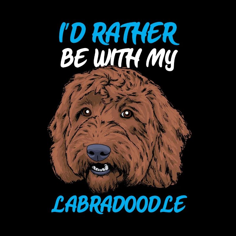 labradoodle