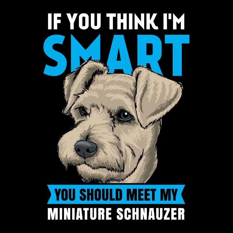 Miniature schnauzer