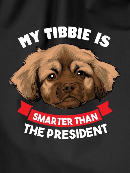 Tibetan Spaniel