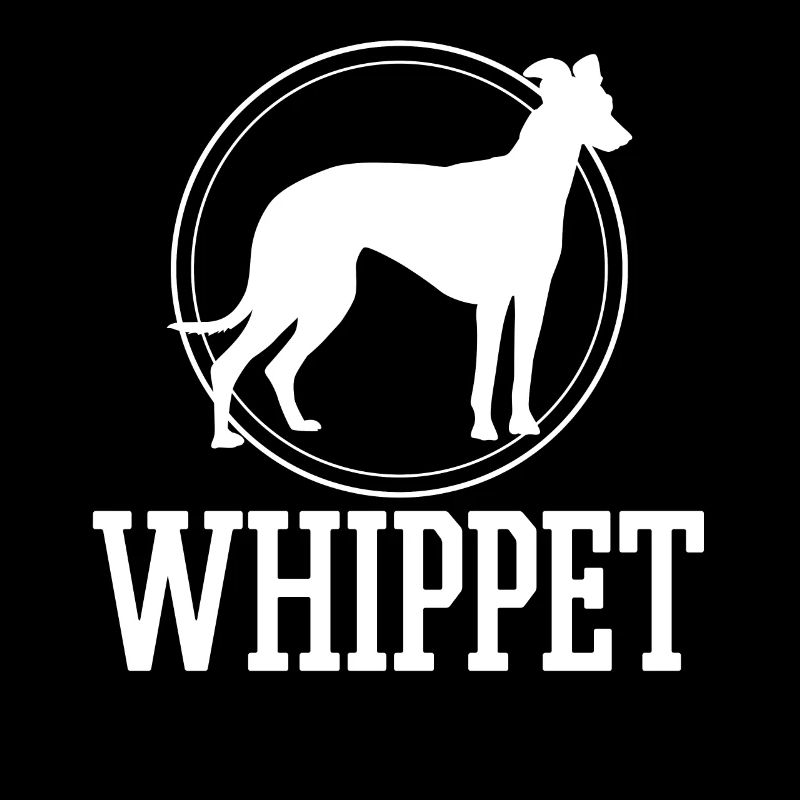 Whippet Dog Animal