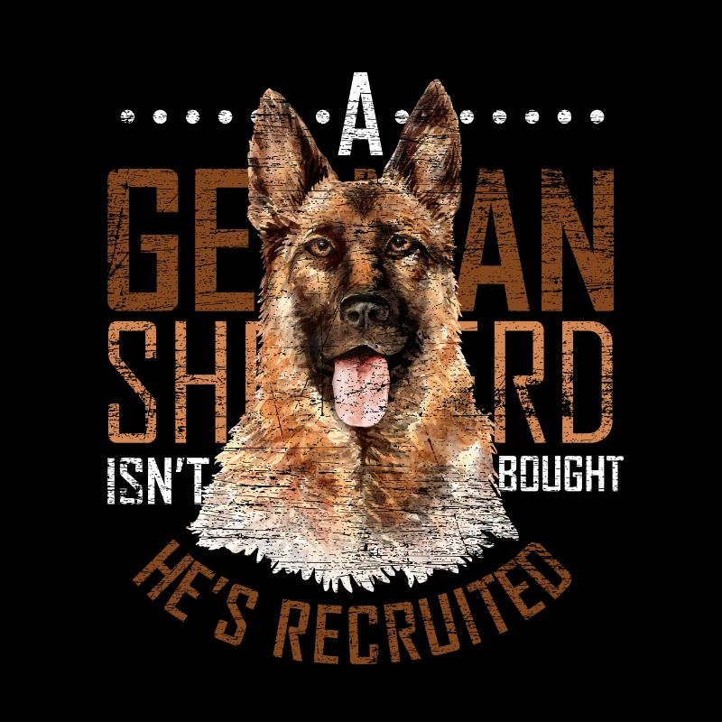 German shepherd