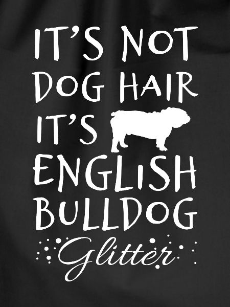 English bulldog