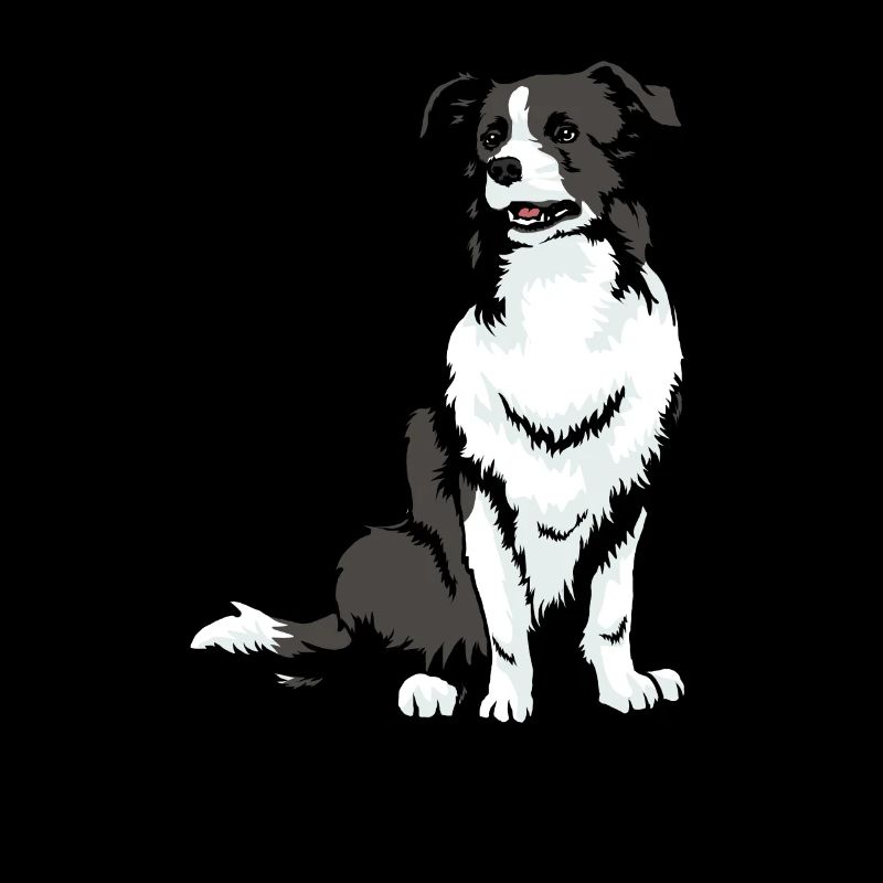 Border collie