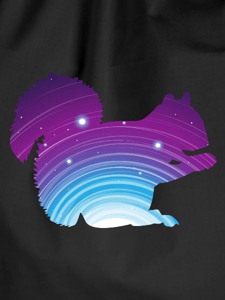 Squirrel animal