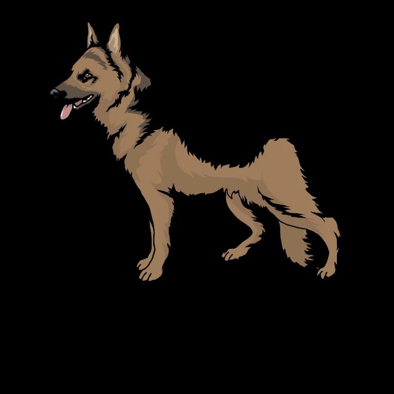 German shepherd dogs