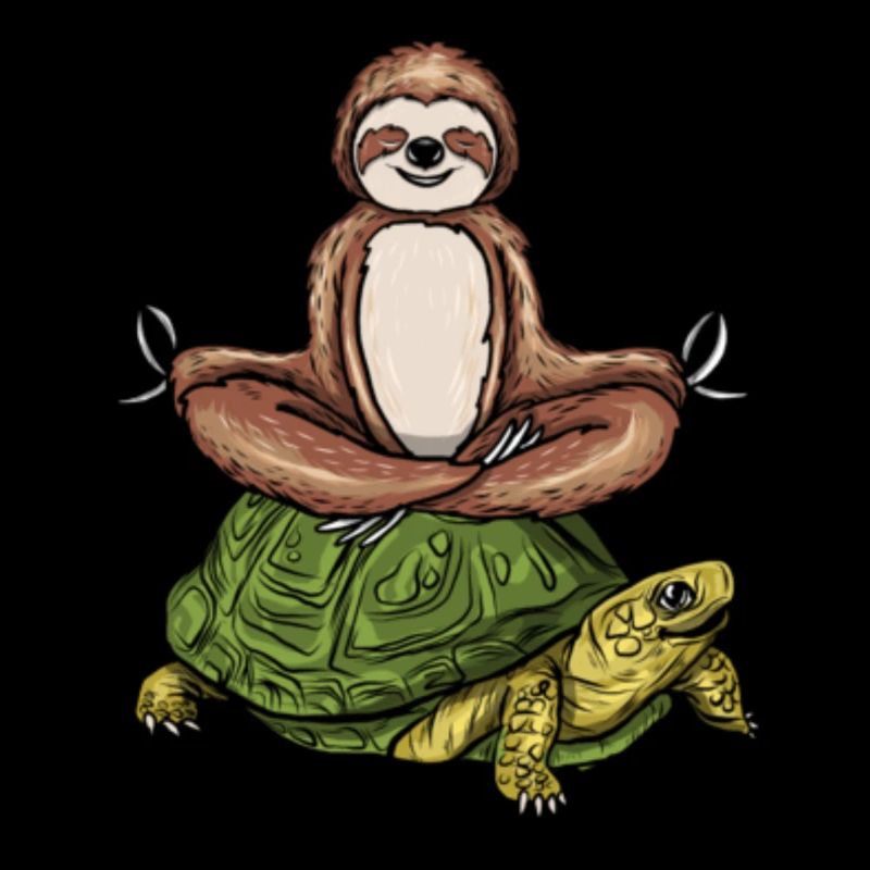 Sloth Riding Turtle Meditation Slow Down