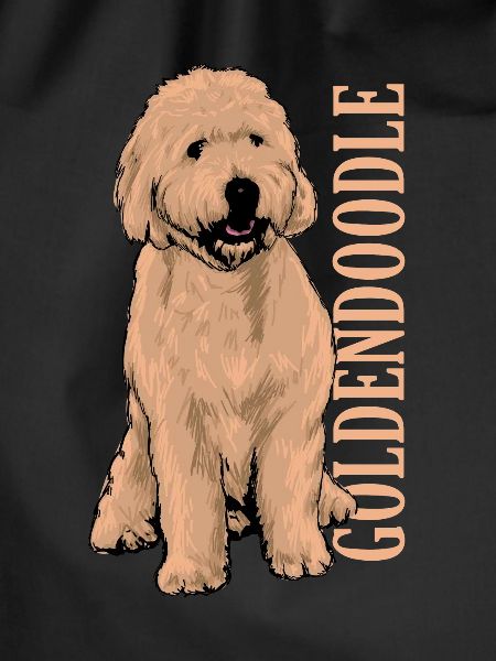 Goldendoodle
