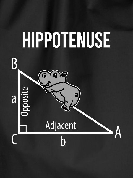 Hippopotamus math