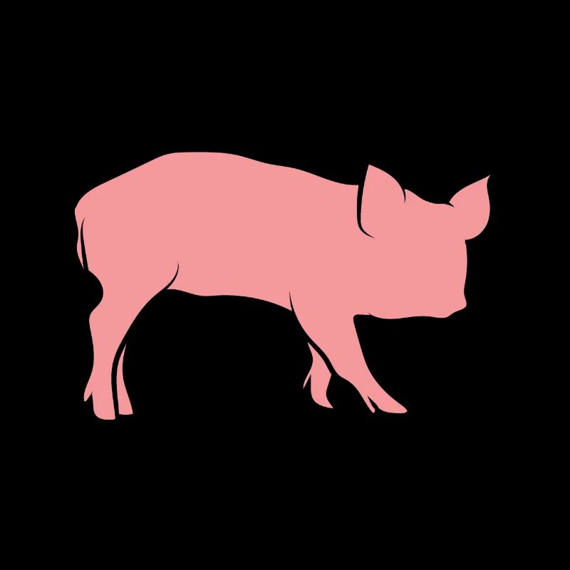Pig piglets
