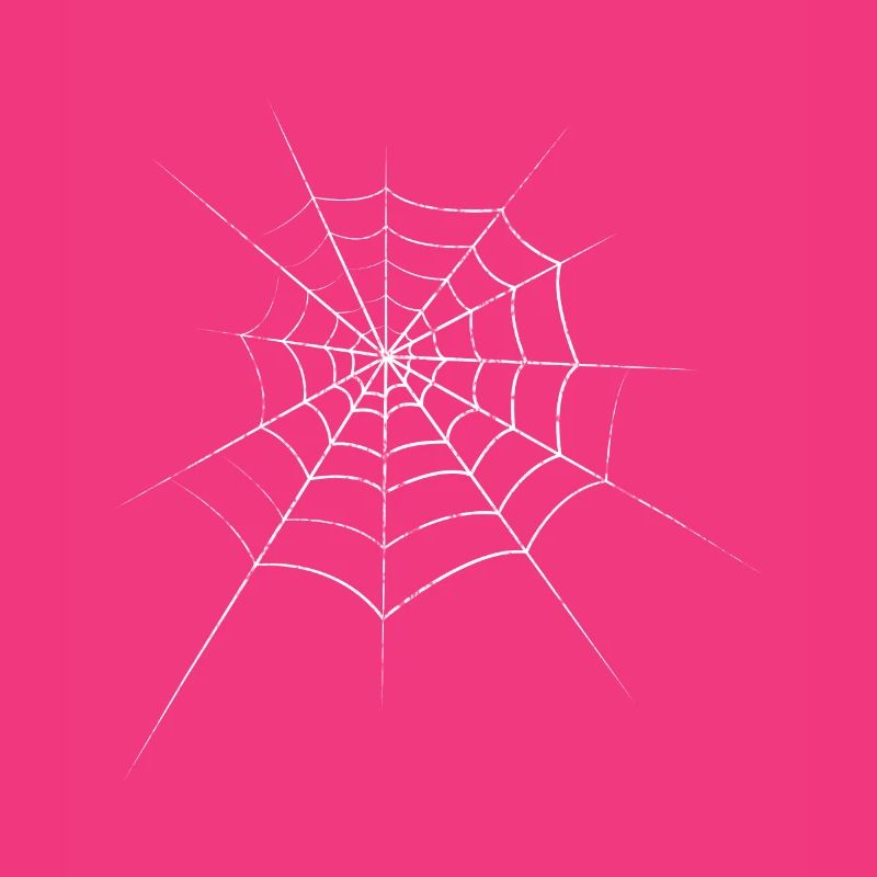 Spider cobweb
