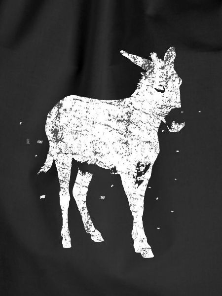 Donkey farm