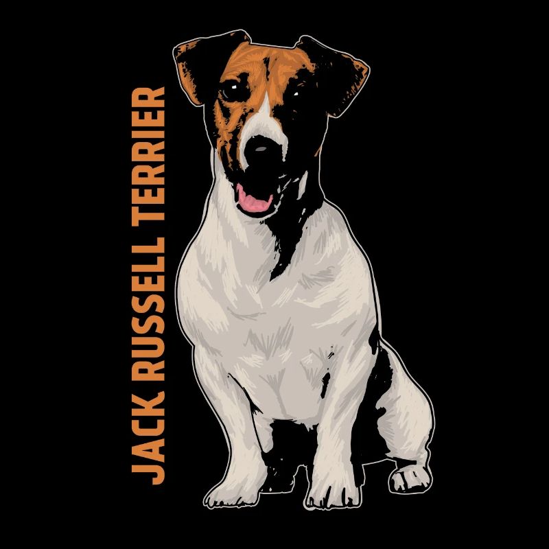 Jack Russell Terrier