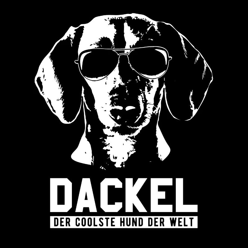 Cool Dachshund Dog