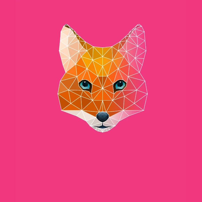 Polygon geometry fox