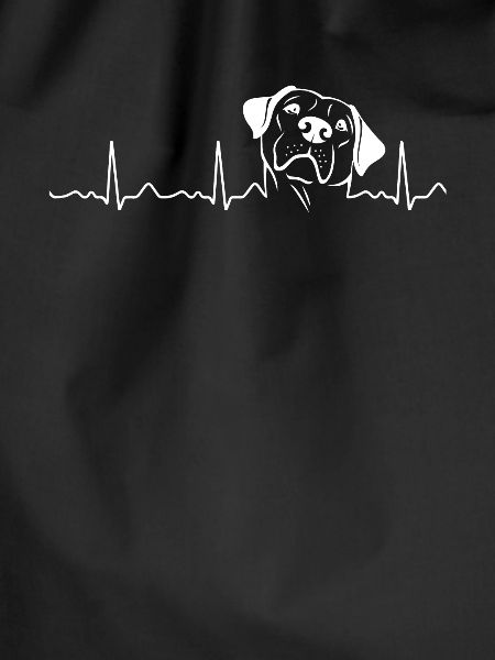 Labrador