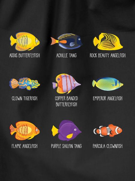 Tropical fish anemonefish angelfish