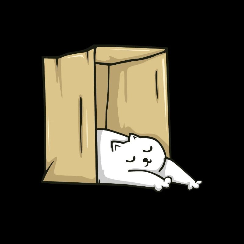 Sleeping cat in a box