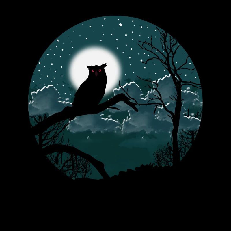 Night owl starry sky