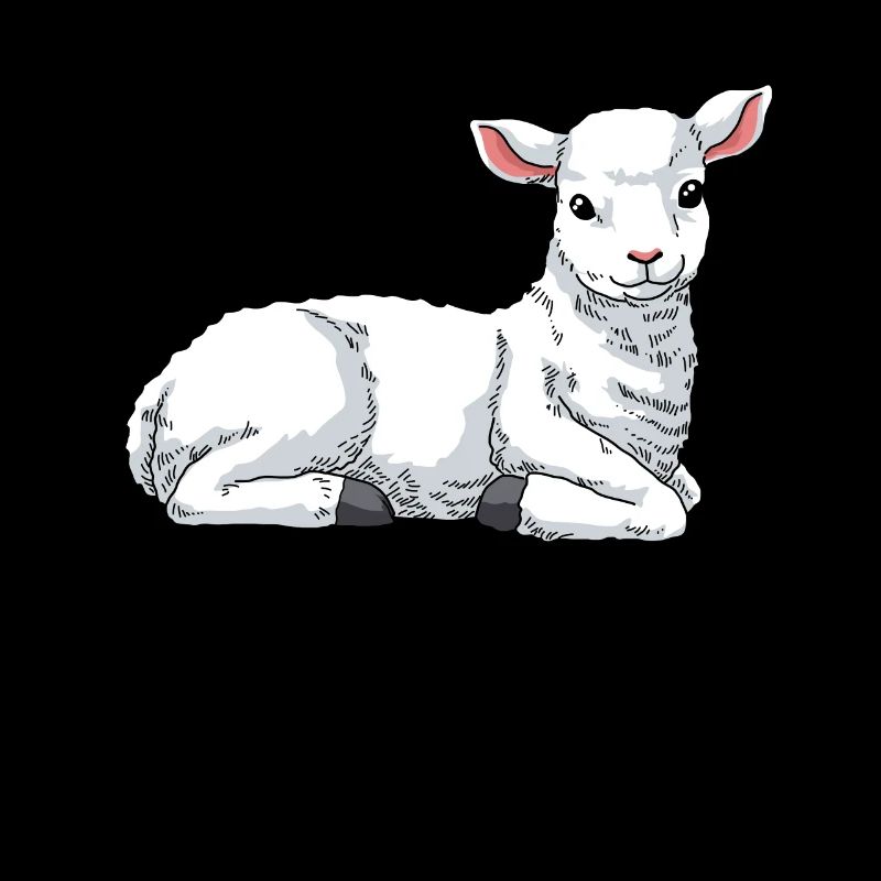 Lamm Schaf Hausschaf