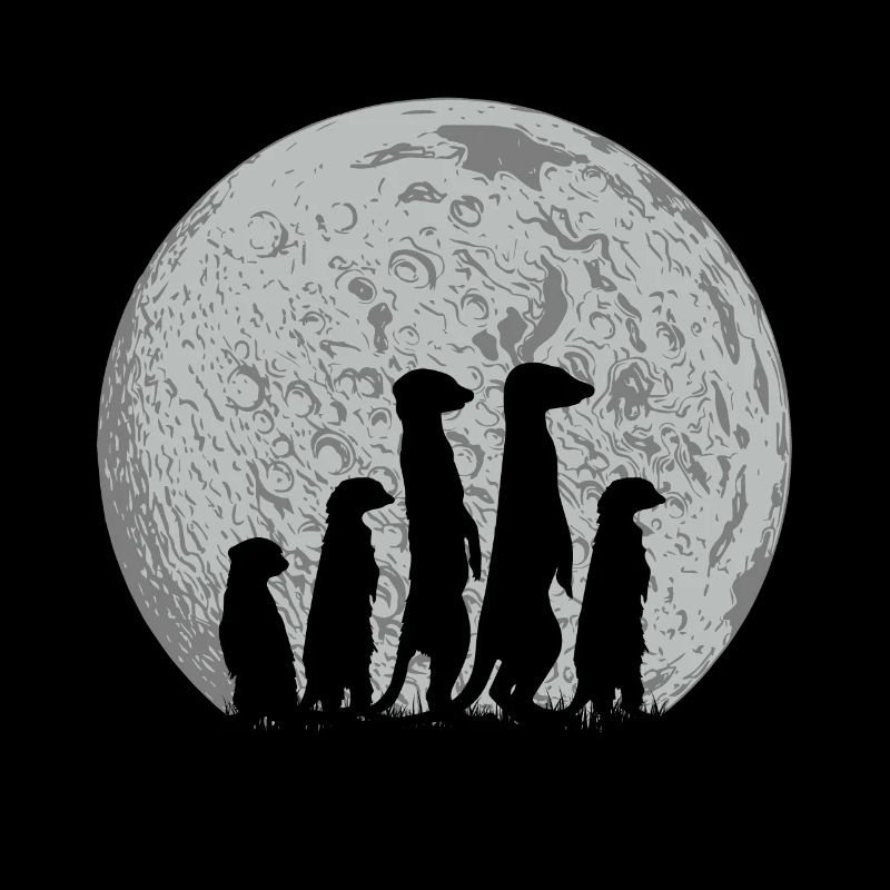 Erdmännchen