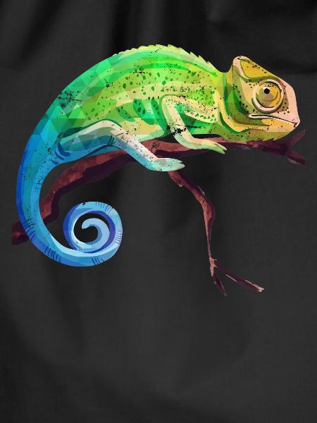 Chameleon tropics reptile